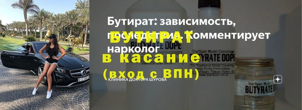 сатива Гусев