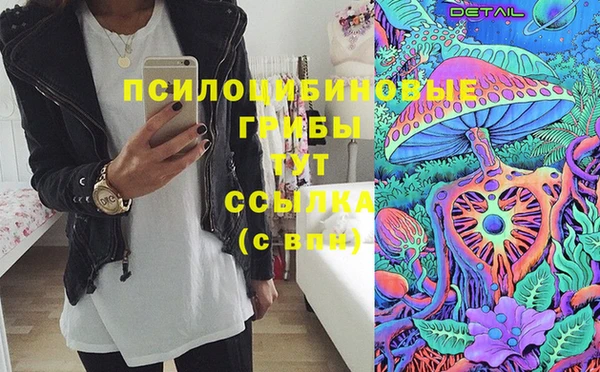сатива Гусев