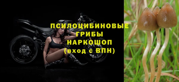 гашик Гусиноозёрск