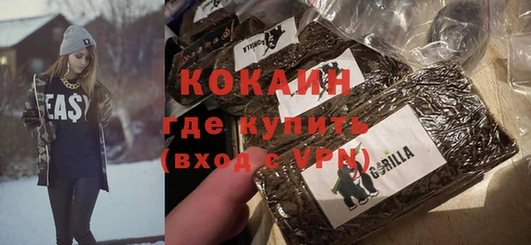 сатива Гусев