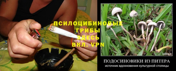 сатива Гусев