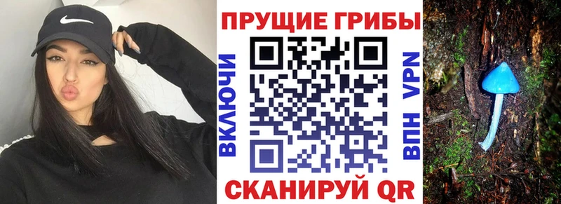 Галлюциногенные грибы MAGIC MUSHROOMS  Купить где  Нурлат 